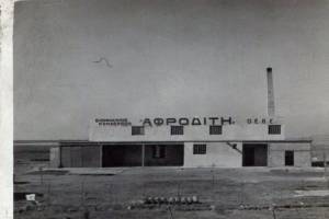 ΑΦΡΟΔΙΤΗ Ο.Ε.Β.Ε. Τιγκάκι Κως, 1950. Αρχείο Δία Χαραλαμπόπουλου