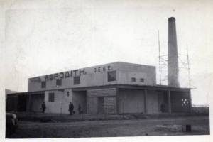 ΑΦΡΟΔΙΤΗ Ο.Ε.Β.Ε. Τιγκάκι Κως, 1950. Αρχείο Δία Χαραλαμπόπουλου