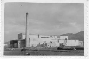 ΑΦΡΟΔΙΤΗ Ο.Ε.Β.Ε. Τιγκάκι Κως, 1950. Αρχείο Δία Χαραλαμπόπουλου