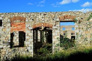 φωτο: Γιώργος Μαυράκης_21/11/2014