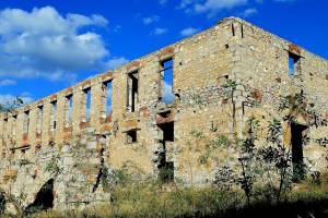 φωτο: Γιώργος Μαυράκης_21/11/2014