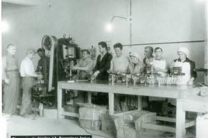 Πηγή : Συλλογικό έργο, "ΧΑΝΙΑ 1952 - Η ΑΝΑΣΥΓΚΡΟΤΗΣΗ", εκδόσεις ΜΠΑΝΟΥΣΗΣ, Χανιά 2008