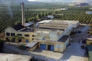 Το εργοστάσιο ΡΕΑ, το 1960Πηγή: https://argolikivivliothiki.gr/2012/01/11/argolida/