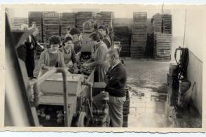 Αξίζει να προσέξει κανείς πάνω αριστερά τον επισκέπτη με την κελεμπίαΠρόκειται για επίσκεψη του ιρακινού επιχειρηματία Almounia στο εργοστάσιο ΠελαργόςΠηγή : Παλιές φωτογραφίες του Αργους-Ταξίδι στο παρελθόν, από Αρχείο Καραμέλη