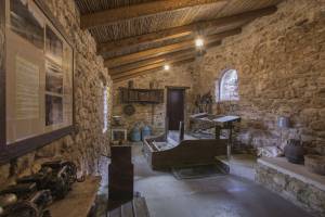 Ο νερόμυλος λειτουργεί όπως παλιά,αλέθει σιτάρι και με το αλεύρι του παρασκευάζονται τα ζυμαρικά,τα παξιμάδια και τα κουλουράκια του Παλιού Νερόμυλου.
Πηγή:http://www.opaliosneromylos.gr/