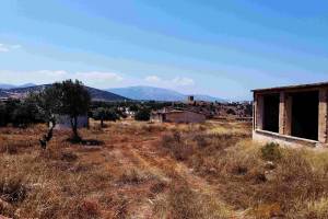 φωτο Ηρ.Φασουράκης 01-07-2020