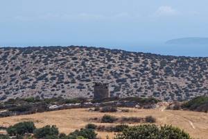 Ανεμόμυλος στον οικισμό Παναγιά Φωτο: Λ. Μαργαρίτη, Ιούλιος 2020
