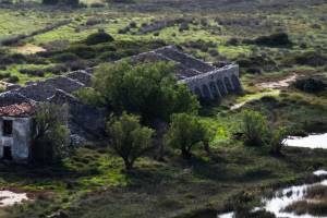 Πηγή: Φωτογραφικό υλικό κ. Δημήτρη Καρρά - Μάιος 2016