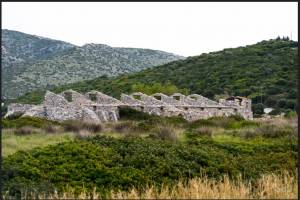 Πηγή: Φωτογραφικό υλικό κ. Δημήτρη Καρρά - Μάϊος 2016