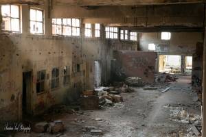 φωτογραφικό αρχείο κας Νατ.Παπαδοπούλου, 10-11-2019