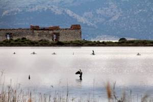 Eρευνητής: FOTIS KARYANOS (http://www.enpoermionis.com)