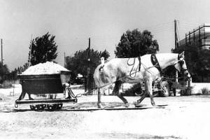 
Πηγή : The salt flats of Alykes

από το αρχείο του κου Rab Currie 

