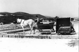 
Πηγή : The salt flats of Alykes

από το αρχείο του κου Rab Currie
