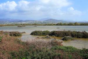 σημερινή άποψη της Αλυκής - Υδροβιότοπου , Πηγή : Αλυκή Νάξου

