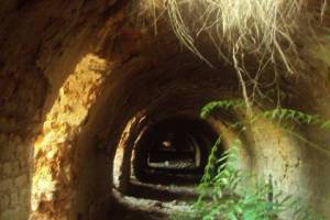 φωτο Ι.Μωραιτοπουλος 02-02-2018