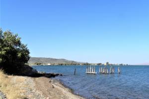 
Ό,τι απέμεινε από τη σκάλα φόρτωσης στον Άγιο Παύλο

φωτ.αρχείο: Κώστας Ζερμπίνος_23/7/2020
