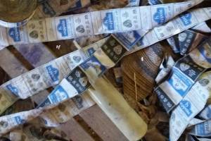φωτο: Ηρακλής Φασουράκης 02/08/2017