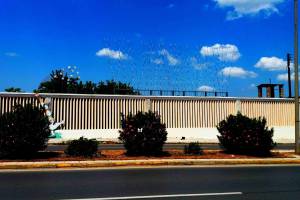 φωτο: Ηρακλής Φασουράκης 02/05/2018