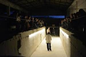 Εικ.3, Θεατρική παράσταση, στο παλιοεργοστάσιοΔουρίδα στη Θήβα. 
Πηγή: «Κοιμήσου γλυκό μου παιδάκι», στο παλιό εργοστάσιο «Δουρίδας»
Από την ερασιτεχνική θεατρική ομάδα της Ένωσης Μικρασιατών Θήβας