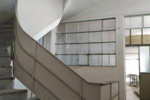 φωτογραφικό αρχείο κας Κικής Πετρίδη, 06-2019