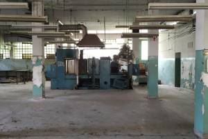 φωτογραφικό αρχείο κας Κικής Πετρίδη, 06-2019