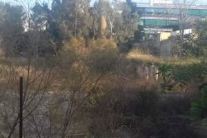 φωτογραφικό αρχείο κου Θ.Τζιβάρα, 29-03-2020