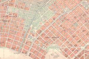 9._phullo_3_meso_-_moskhato_kallithea