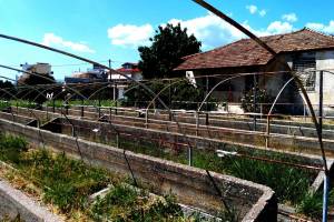 φωτο Ηρ.Φασουράκης 29-06-2016