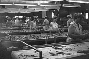 Αλμπουμ κου Γιάννη Γιαννακόπουλου: ΚΑΛΗΜΕΡΑ 15-6-018